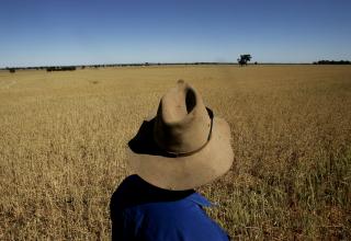 Australian Farmer Concern