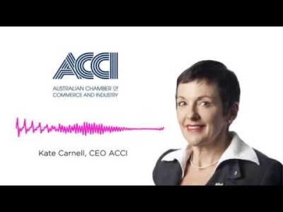 ACCI chief executive Kate Carnell