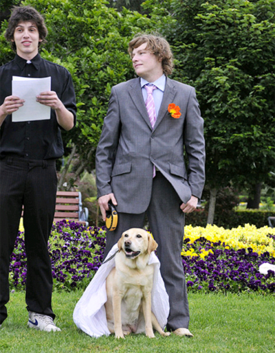 Dog Gone Wedding