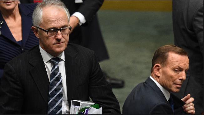 Malcolm Turnbull 's media timing to depose PM Abbott