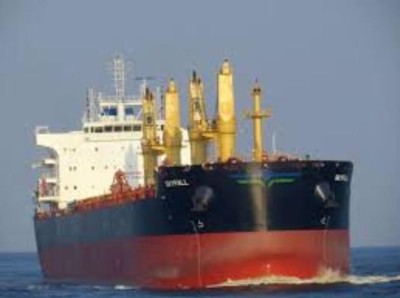 Skyfall bulk carrier (IMO 9724752)