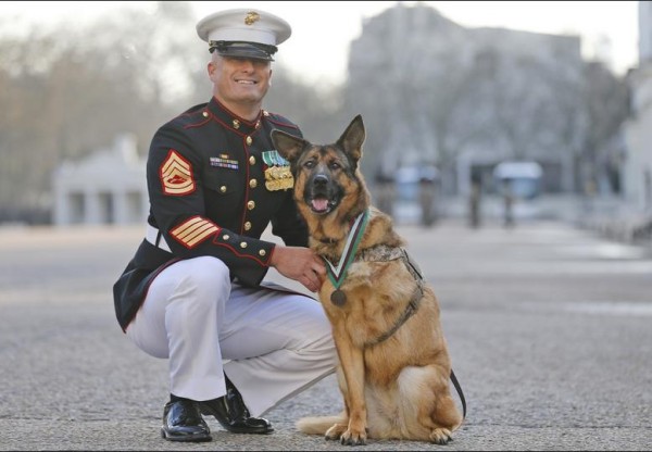 US Marine Corp Dog Lucca with US Marine Gunnery Sergeant Christopher Willingham